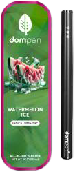 Watermelon Ice All-In-One